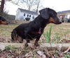 Oscar 11...WV