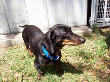 Oscar 11...WV