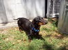 Oscar 11...WV