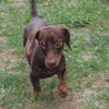 Rusty 5..GA