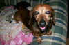 Jenny..AL