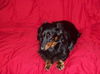 Rusty4....NY