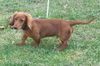 TUCKER..NY