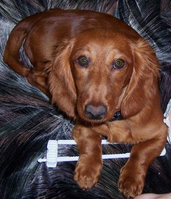TUCKER..NY