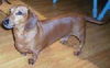 RUSTY5..NY