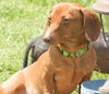 Tyson#2...IN