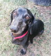 Buddy #8...TN