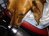 Tucker..FL