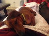 Tucker..FL