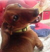 Tucker..FL