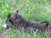 Truffles #2...TN