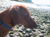 TUCKER...MA