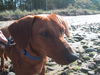 TUCKER...MA