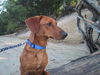 TUCKER...MA