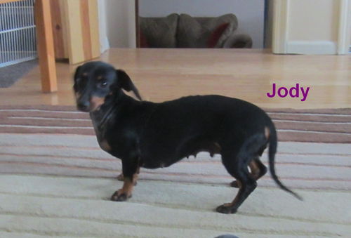 Jody.....MI