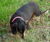 Trudy.....VA