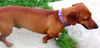 Rufus number 4.....NH