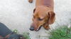 Rufus number 4.....NH