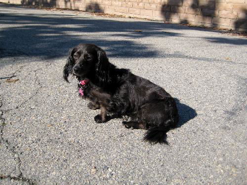 Molly...CA
