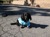 Molly...CA