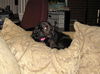 Molly...CA