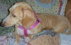 Jill number 3.....FL
