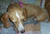Jill number 3.....FL