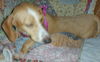 Jill number 3.....FL