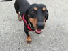 Buddy number 13.....TN