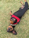 Buddy number 13.....TN