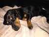 Buddy number 13.....TN