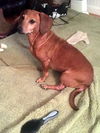 Sweetie number 2.....NY