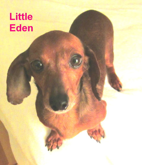 Little Eden.....GA