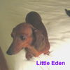 Little Eden.....GA