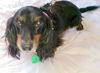 Buster number 6......KY