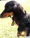 Buster number 6......KY