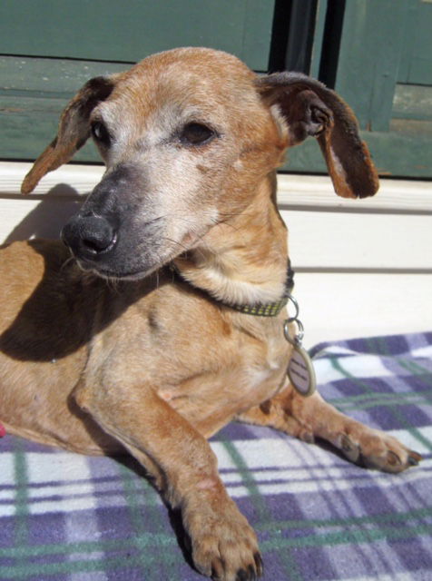 Buster number 8.....NY