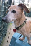 Buster number 8.....NY