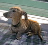 Buster number 8.....NY