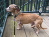 Buster number 8.....NY
