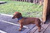 TIPPY...FL