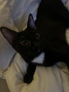 Kini - Photo 3