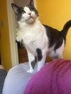 Carl - Photo 2