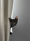 Coco - Photo 8