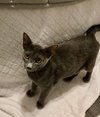 Coco - Photo 9