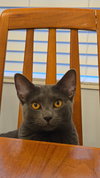 Coco - Photo 2