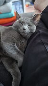 Coco - Photo 3