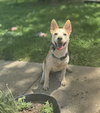Charlie *I’m always smiling* - Photo 2