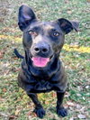 QUEEN MARIE - Photo 1