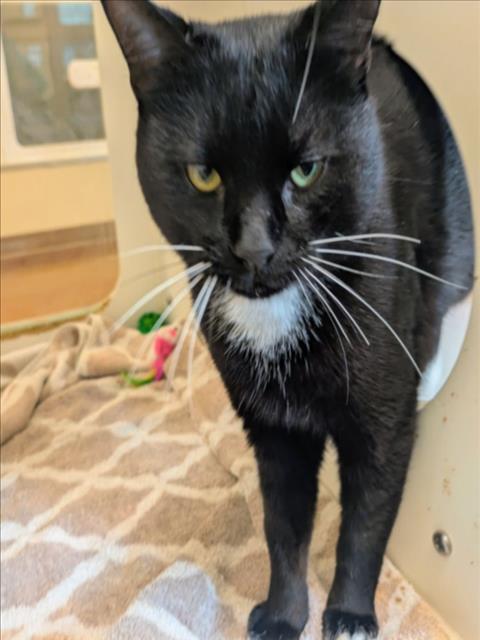BINX Image
